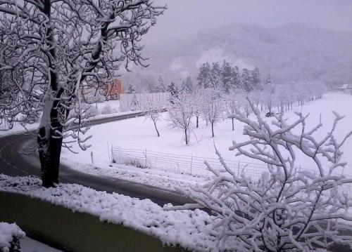 Surrounding environment, Elena Paternoster in San Lazzaro Di Savena