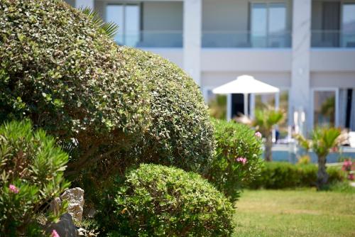 Mythos Palace Resort & Spa - image 3
