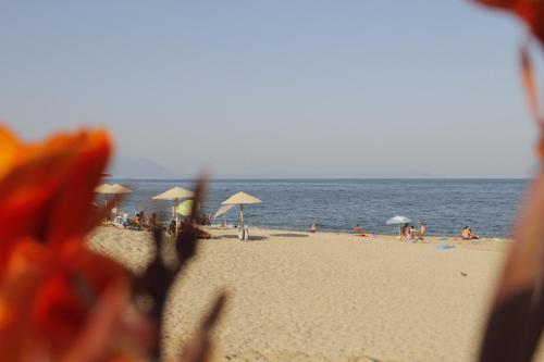 Albatros Suites - image 10