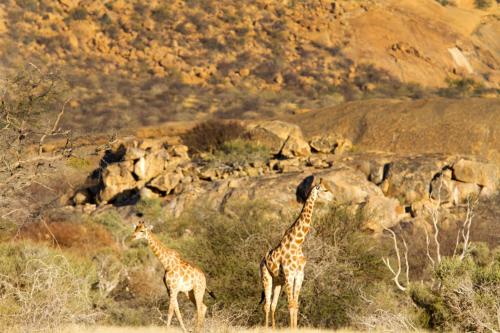 Ai Aiba - The Rock Painting Lodge Ai Aiba - The Rock Painting Lodge