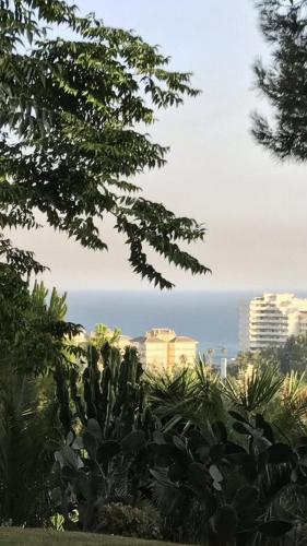 Estudio Vacacional Benalmadena Playa