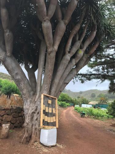 Finca El Vergel Rural