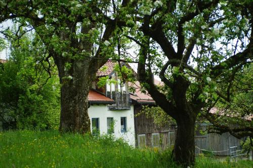 Moosmühle Allgäu