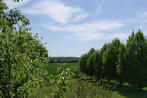Dārzs, Le lac aux fées (Le lac aux fees) in Henrichemont