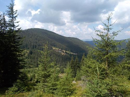Котедж Барвінок, Verkhovyna (foto 6)