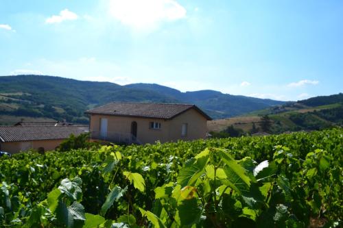 Gîte du Domaine de la Milleranche - Jullié