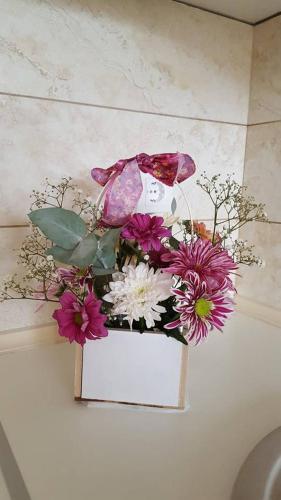Apartment image 5