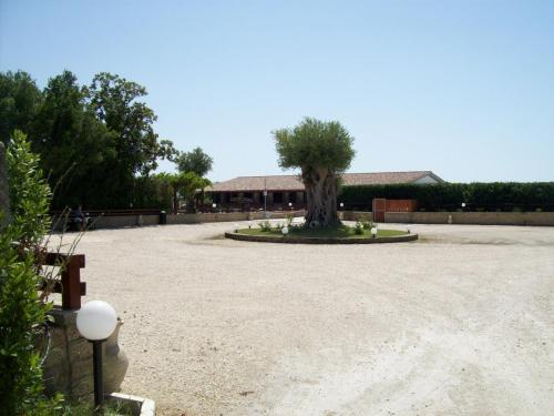 Il Vivaio - image 8