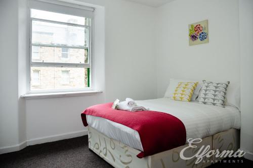 Gifford Park Apartment near Edinburgh University - Elforma, Edynburg (zdjęcie 3)