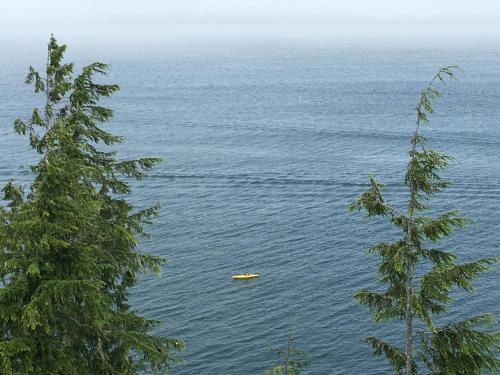 Skats, Avatar by Eagle Reach Properties in Port Renfrew (BC)