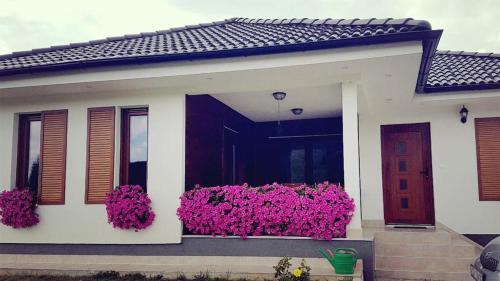  Apartment Rustica in Rakovica