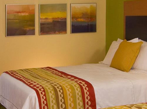 1 king bed