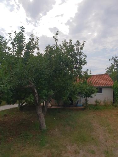  Studio Apartment Dea in Kukci