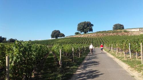 Gite 634 Grand Sable St Hippolyte in Saint-Hippolyte