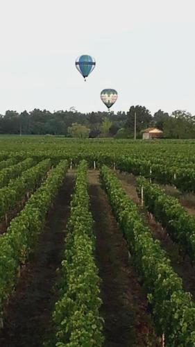 Gite 634 Grand Sable St Hippolyte in Saint-Hippolyte