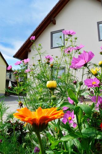 Haus Rosy Ferienwohnung