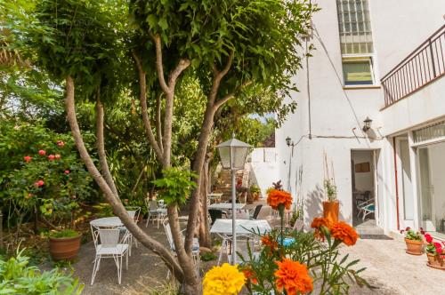 Hostal Cruz 5