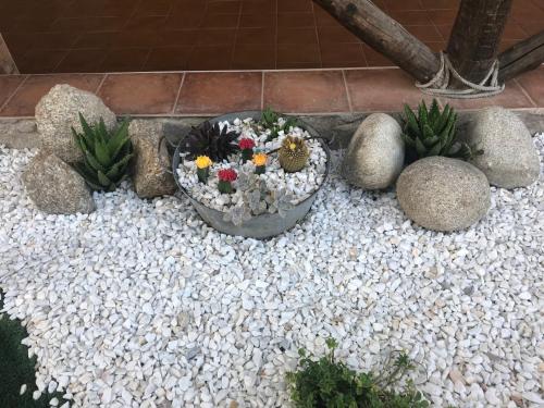 La Guarida del Oso - image 14