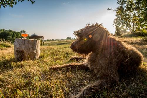 Surrounding environment, Northern Zen in Mandjala
