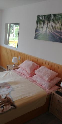 Siesta Üdülő, Igal (foto 2)