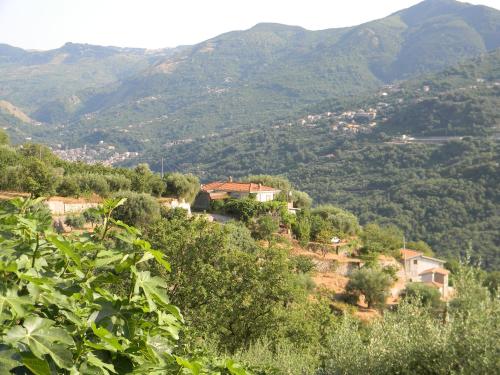  Agriturismo Don Cesarino in CastellʼUmberto