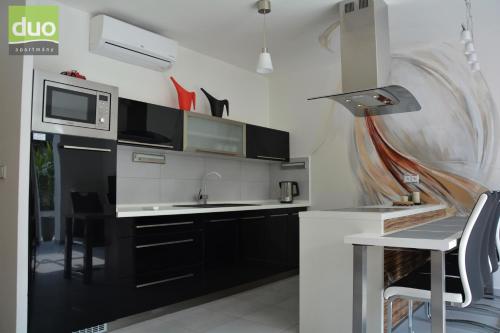 廚房, 多奧公寓 (Apartmany Duo) in 達奇采