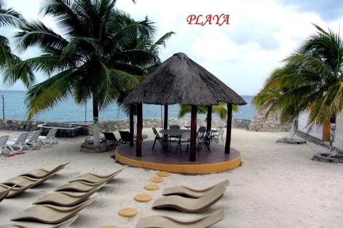 Hotel Barracuda photo 3