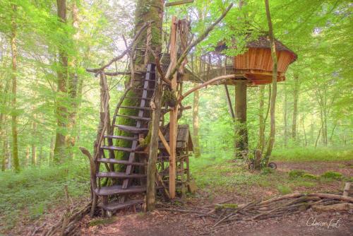 L'Arbre a Cabane