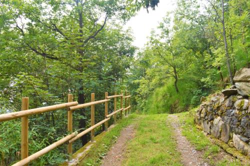 Gold Cave casa vacanze relax nel bosco appartamenti