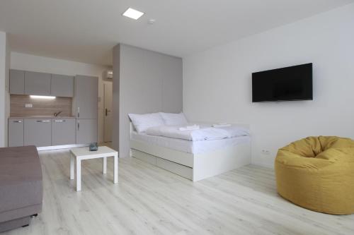 Superior Apartment image 7