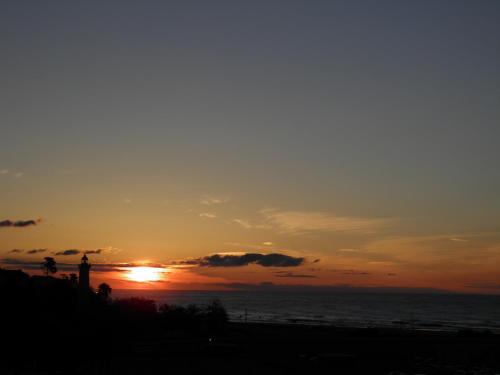 Mumm by Pillow - image 14