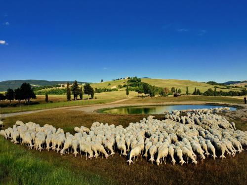 RELAIS VAL D'ORCIA - main image