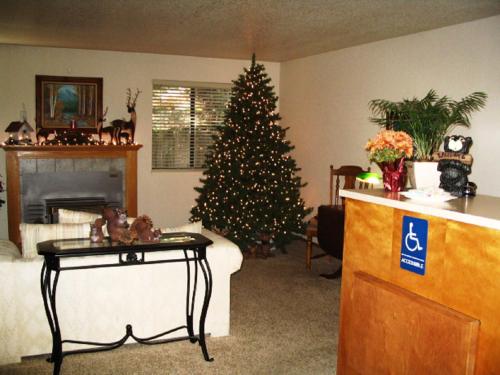 Christmas Tree Inn - main image