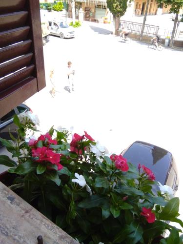L'apparita Camere 3