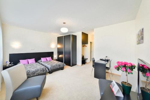 Hotel Vantis Riverside view FREE parking - image 4