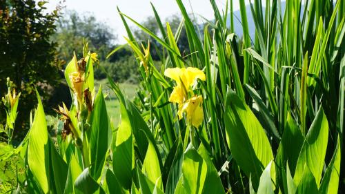 Casa rural Can Jepet Casa rural Can Jepet