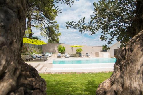 Beautiful Villa Julia, south Istria, garden, pool