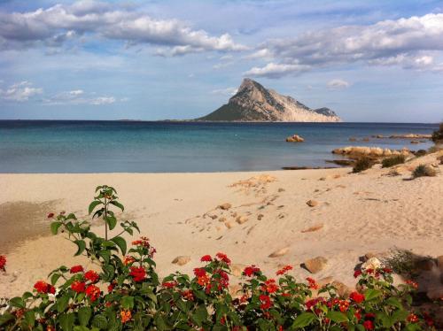  Villetta Azzurra, Pension in Porto Taverna