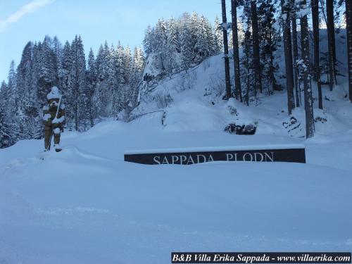 Villa Erika - Sappada