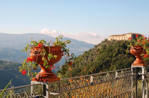 Iekārtas, B&B Calabria in Scigliano