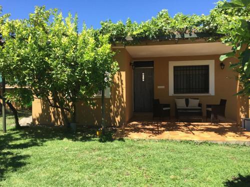 Las Olivas - Accommodation - Candeleda