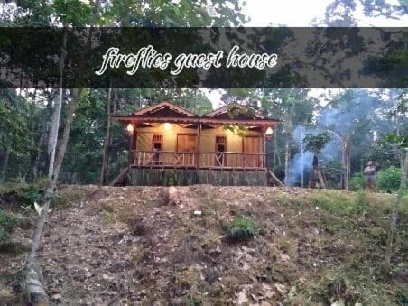 Fireflies Guest House