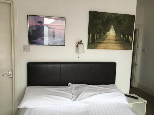 Ash Hotel - image 7
