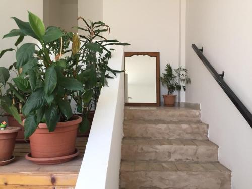 sabic apartman, Pension in Pula