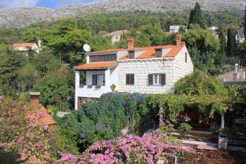 Apartments with WiFi Dubrovnik - 8581 Dubrovnik 