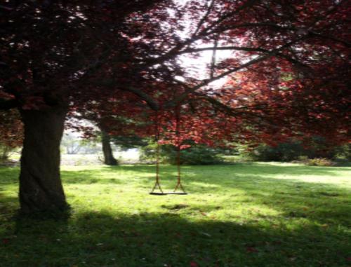 Le Moulin Fleuri du Petit Appeville