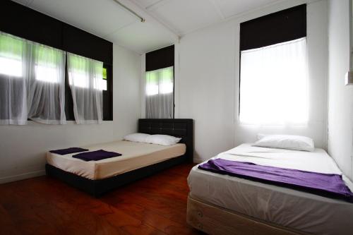 绿色小屋民宿 绿色小屋民宿