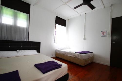 绿色小屋民宿 绿色小屋民宿