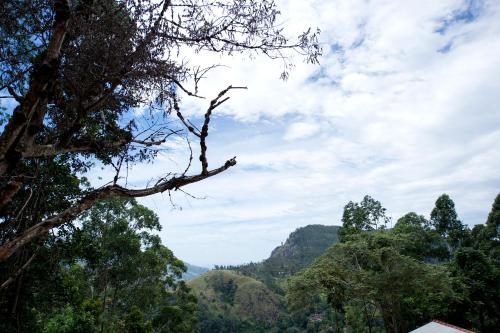 Apurvi Homestay - image 3