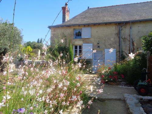 Gîte "La Belle Angevine" photo 22